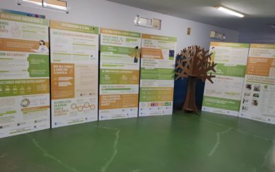 O Clúster Biomasa Galicia inicia unha campaña para evidenciar a relevancia e necesidade de impulsar a biomasa térmica